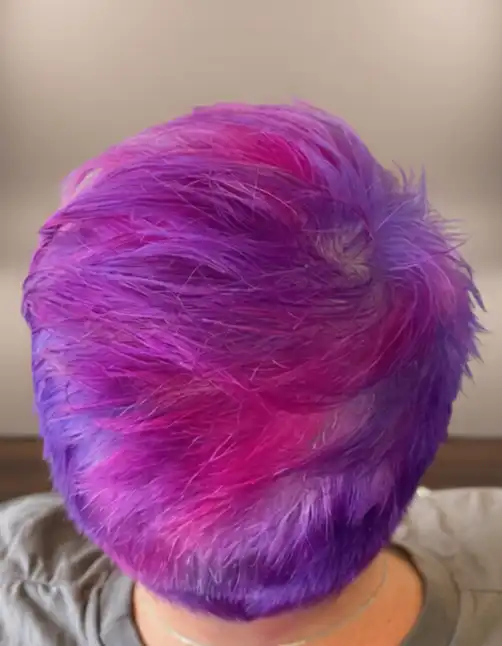 A person with short, vibrant hair dyed in shades of purple and pink, viewed from above.